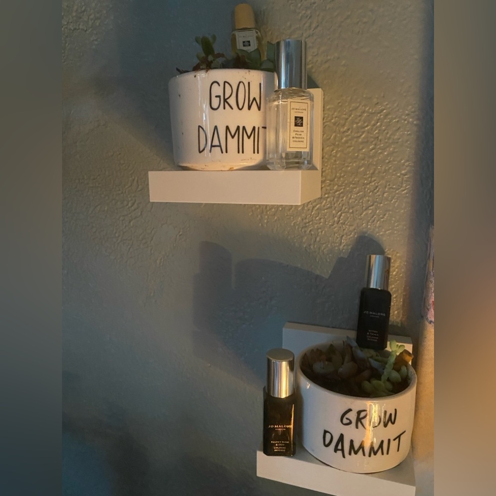 For Joe Malonesamples , succulents optional